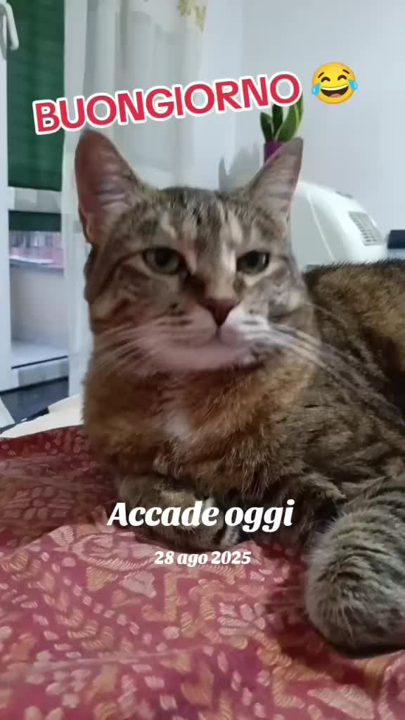 @❤️⭐PAT_ANGEL⭐❤️