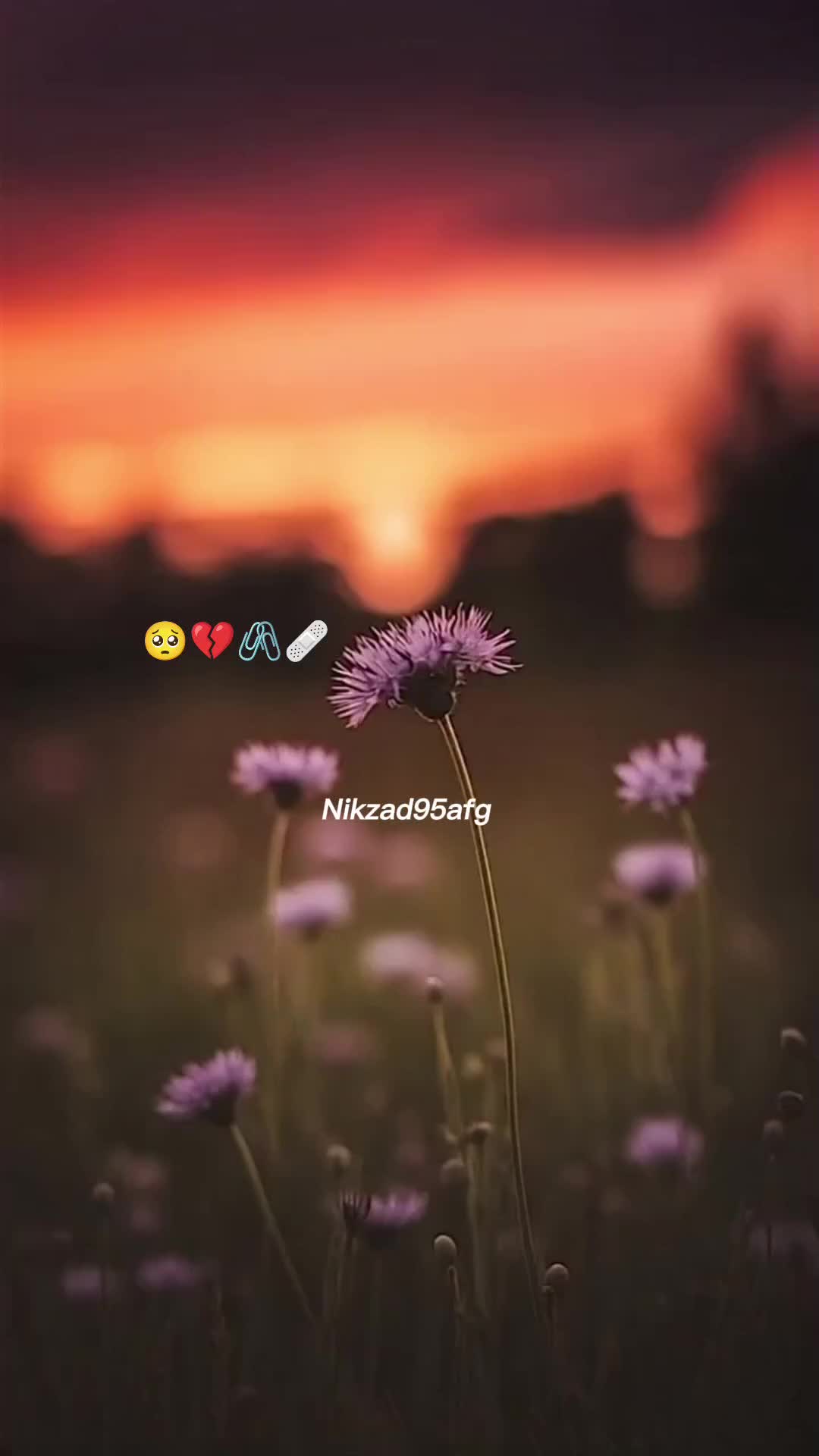 @๐
ฝ๐
ธ๐
บ๐๐
ฐ๐
ณ