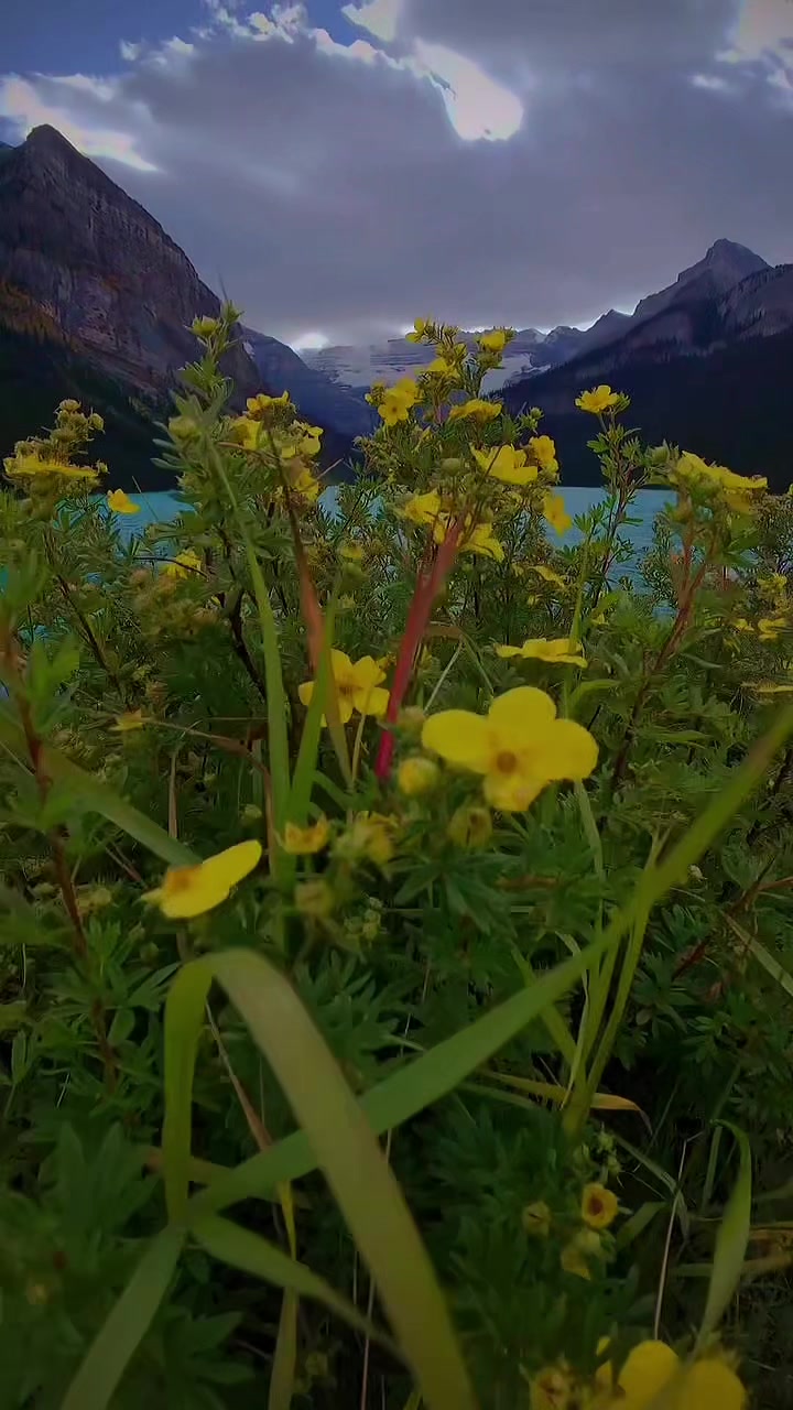 @Earthvibes