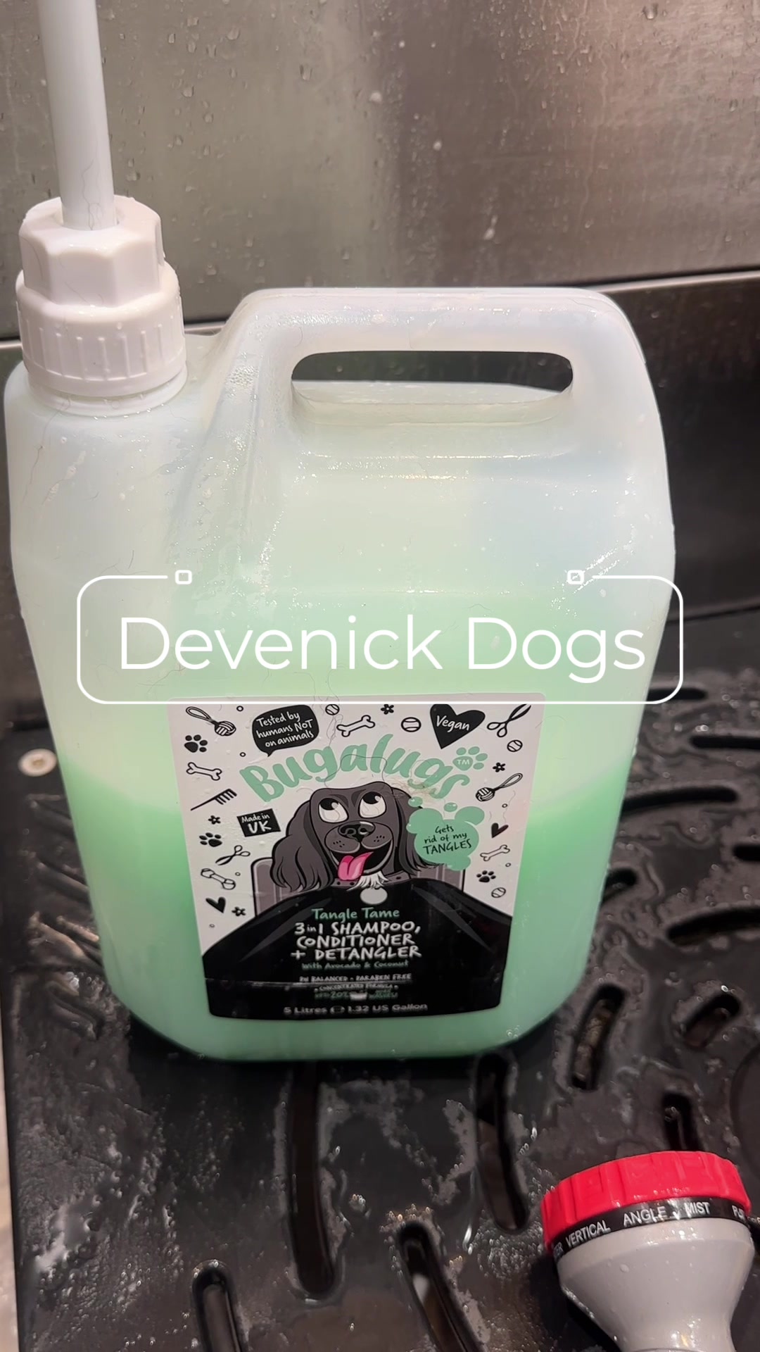 @DevenickDogs
