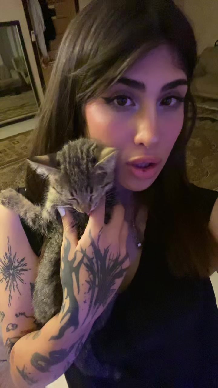 @hanieh