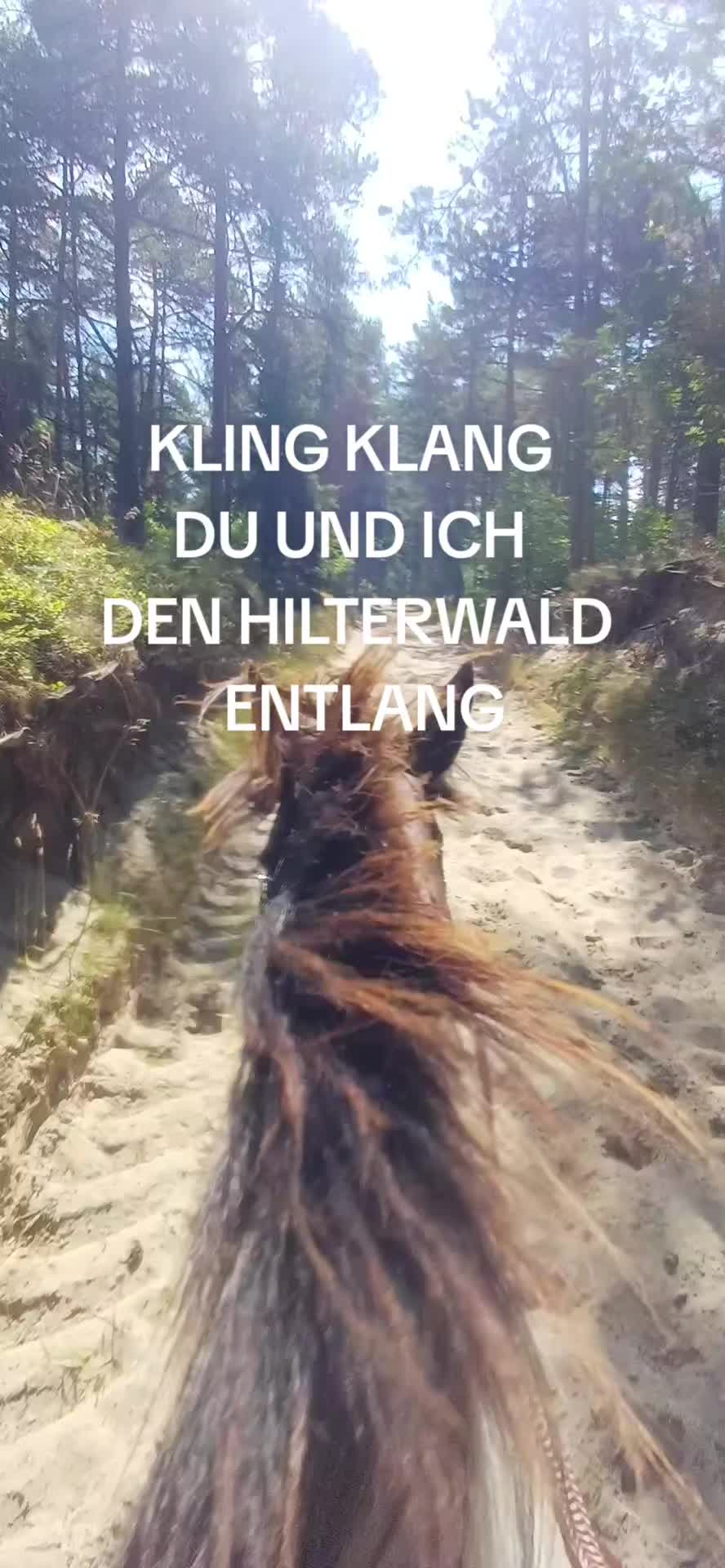 @liv.im.emsland