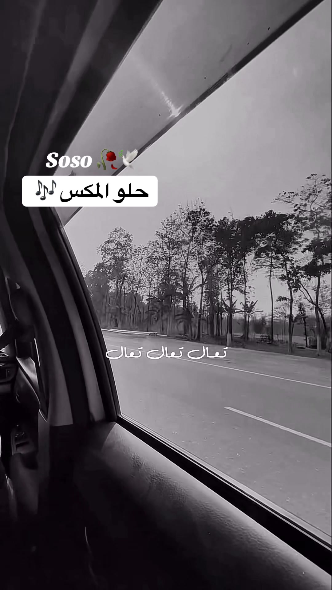 @༊෴✿ سوسو ✿〄࿐