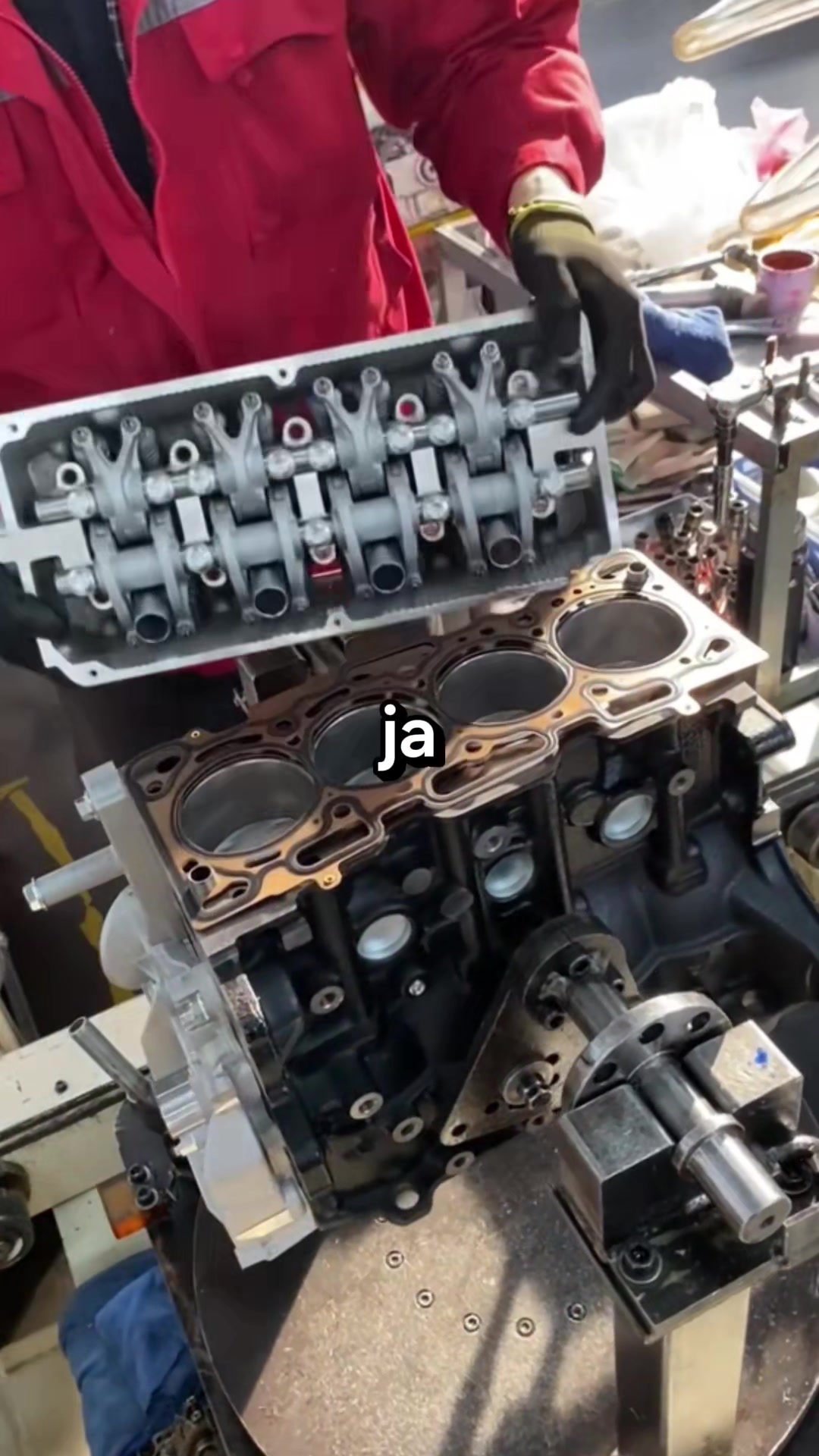 @acnljn