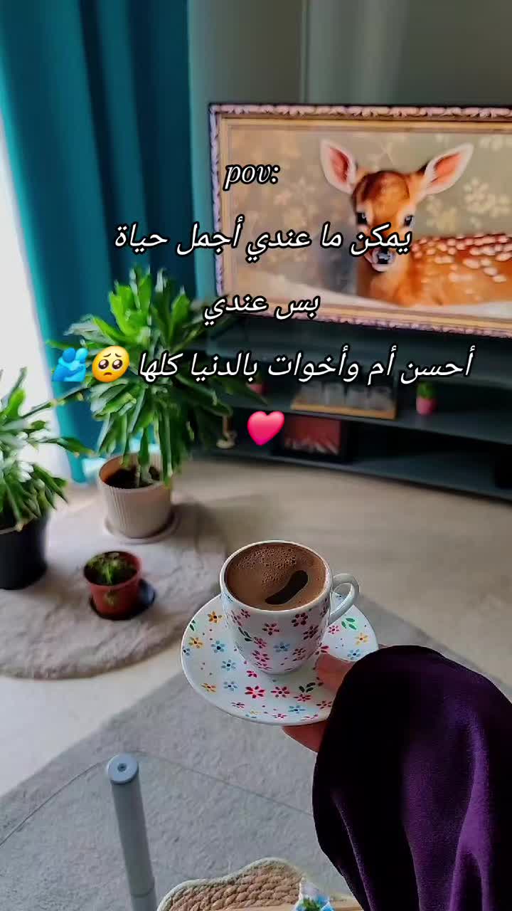 @🎀 Aya khalil 🎀