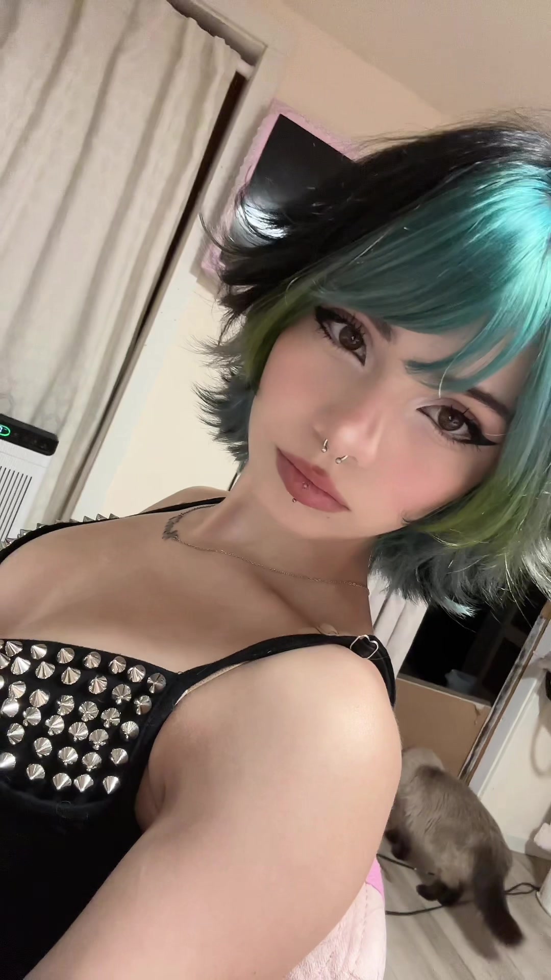 @koirine√