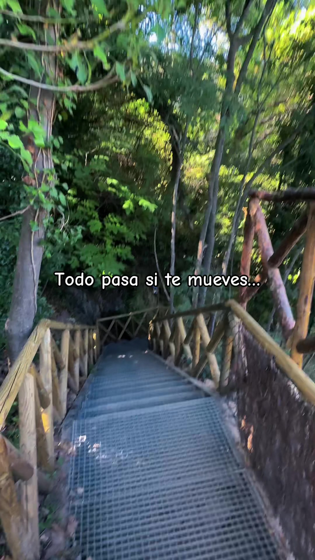@🌺 𝓘𝓿𝓪𝓷𝓬𝓪 🌺