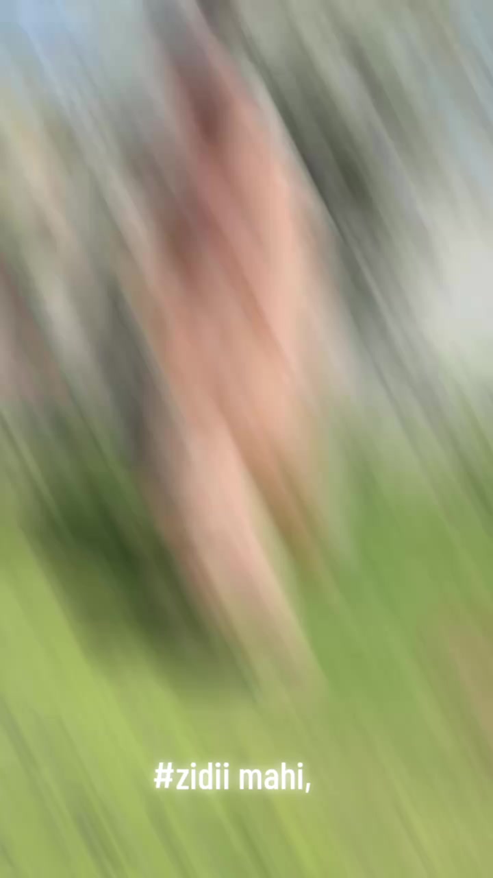@Ziddi mahi