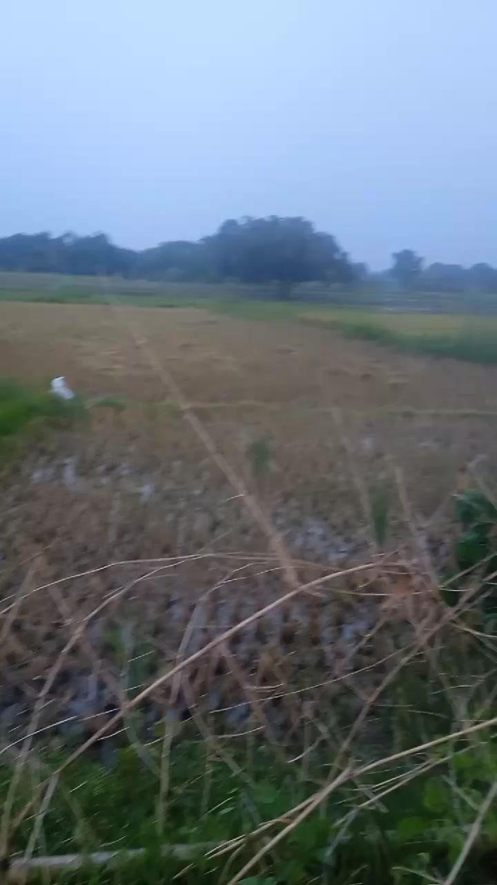 @/// PANCHDEV /// YADAV ///