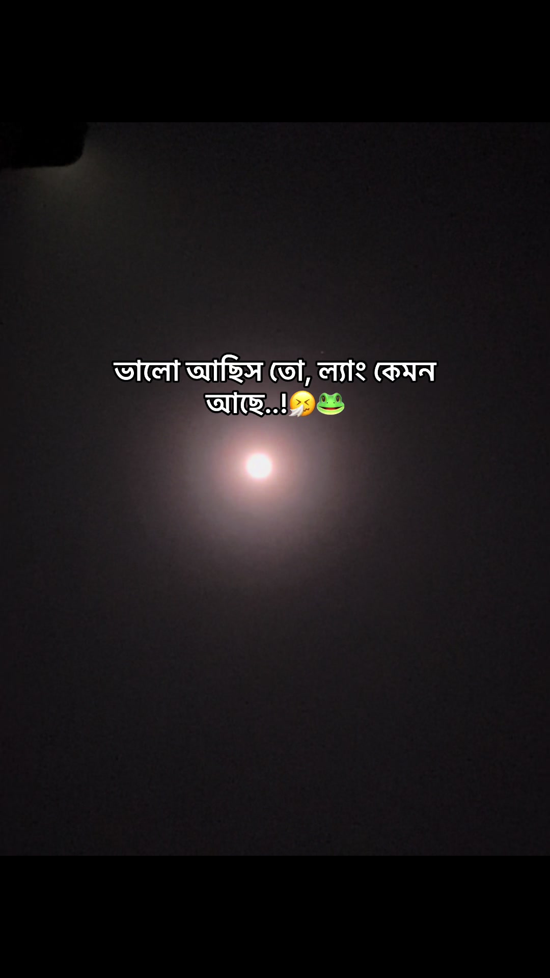 @đ° đĻ đ đ đ đ đ°'âĄ