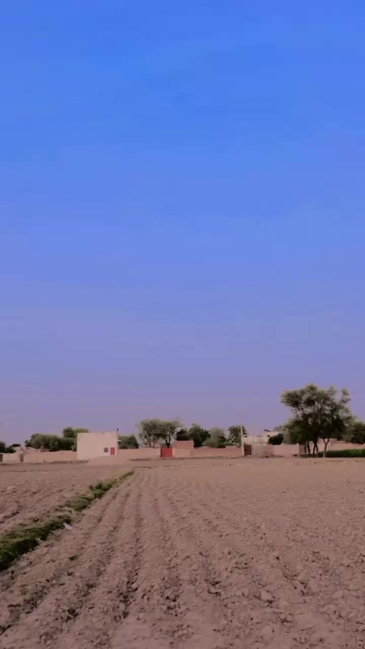 @︻̷┻̿═━一it's M Abdullah ➶804