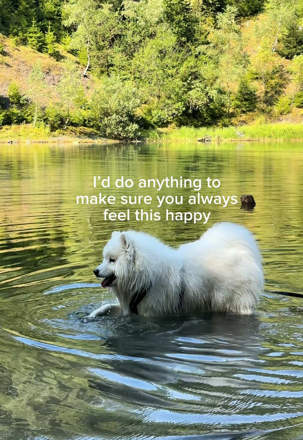 @snowydayswithlio