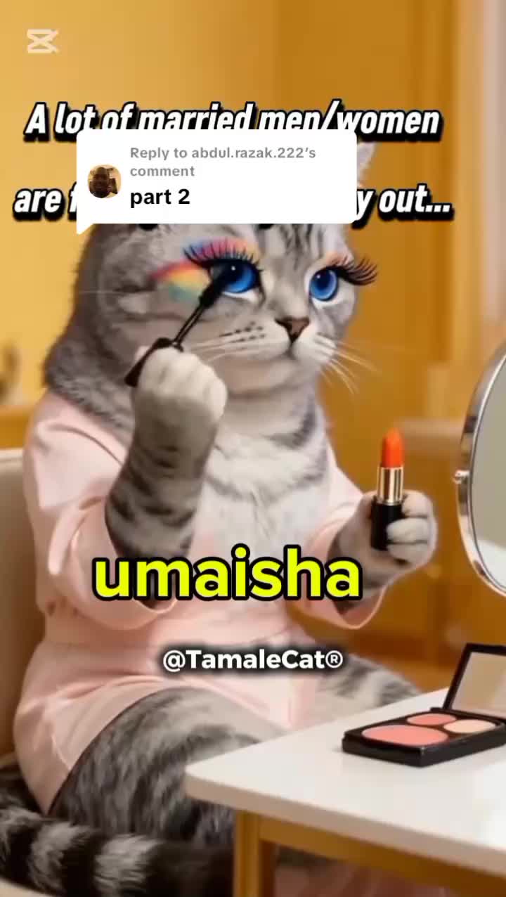 @Tamale Cat