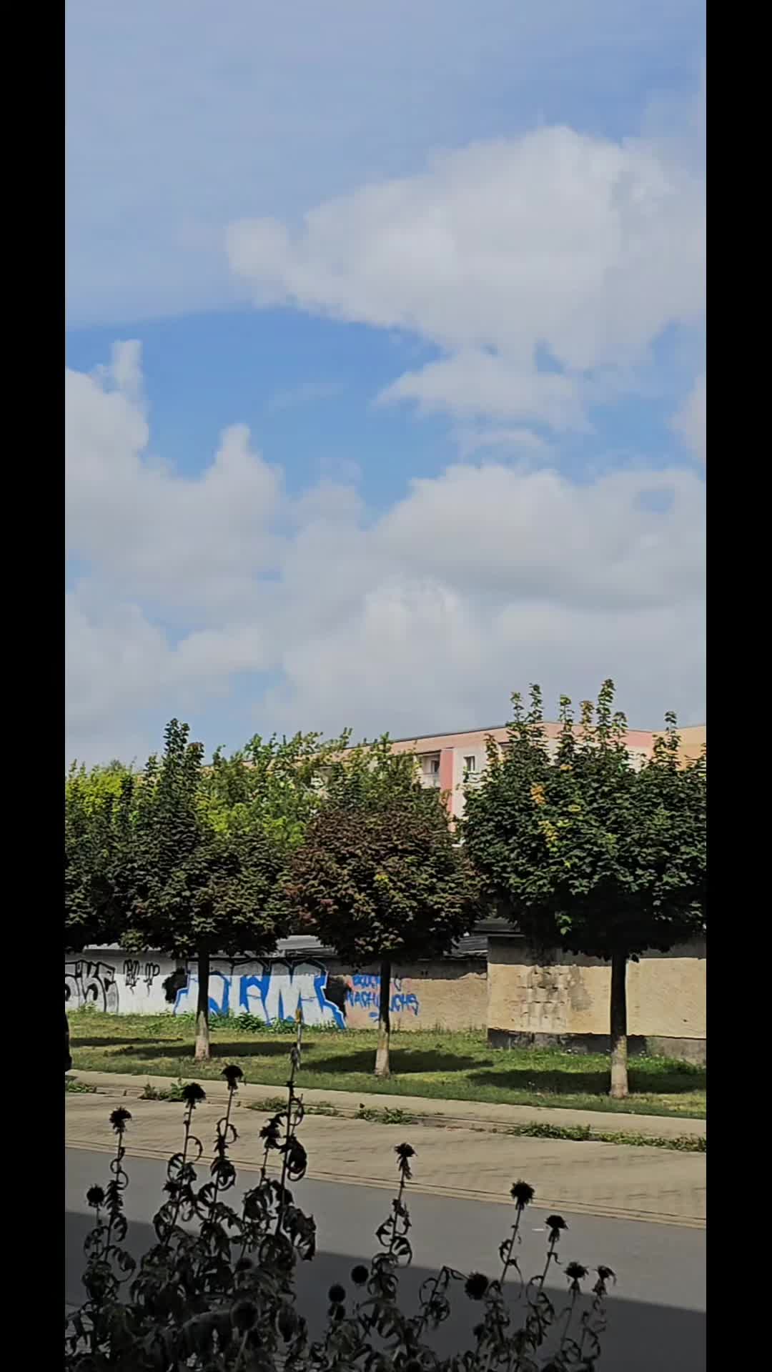 @Andrenymous_1312