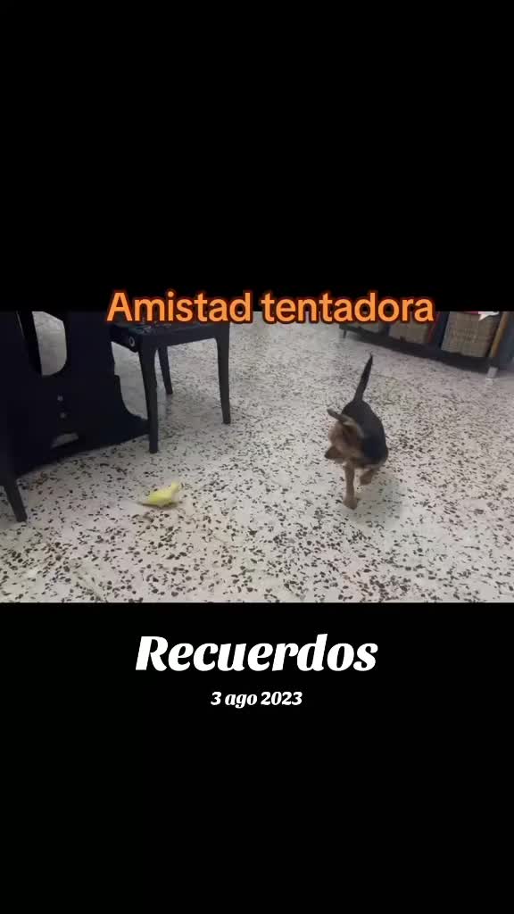 @Anabel y Katie