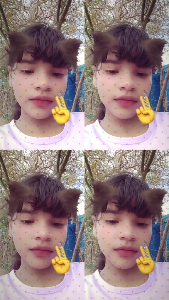 @Diancarlis Marcano