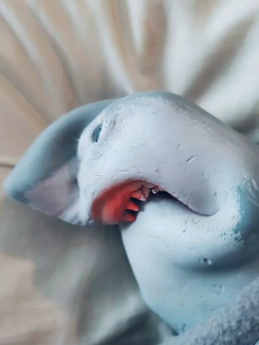 @Sharky 🦈