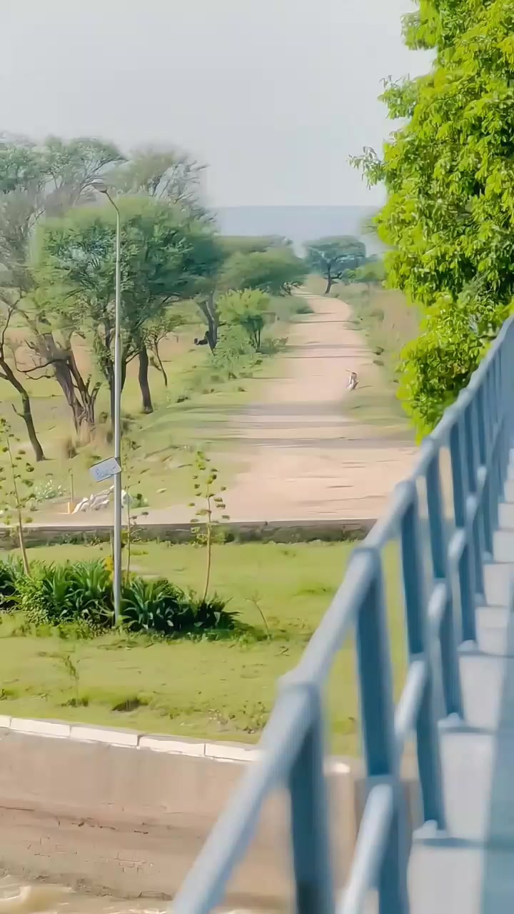 @صبیح ڈار💎🫰🏻