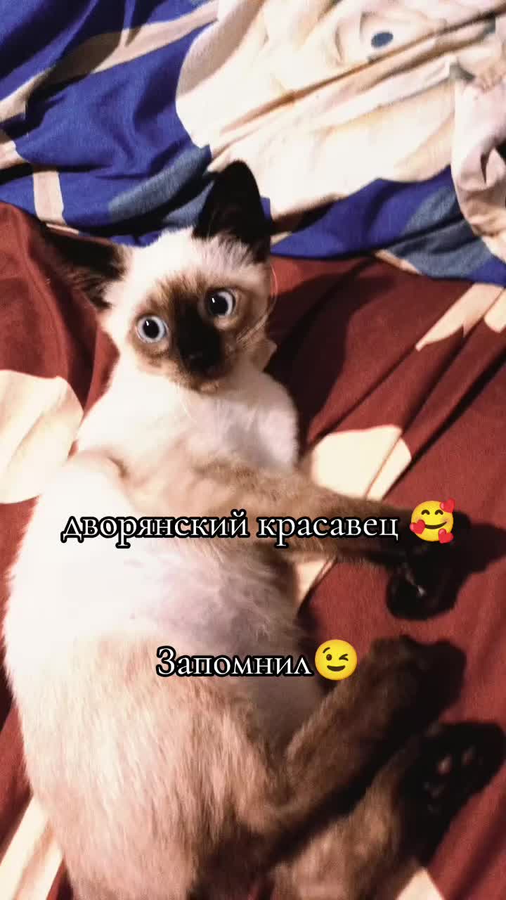 @Especially_Opinion😈