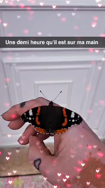 @Vecny