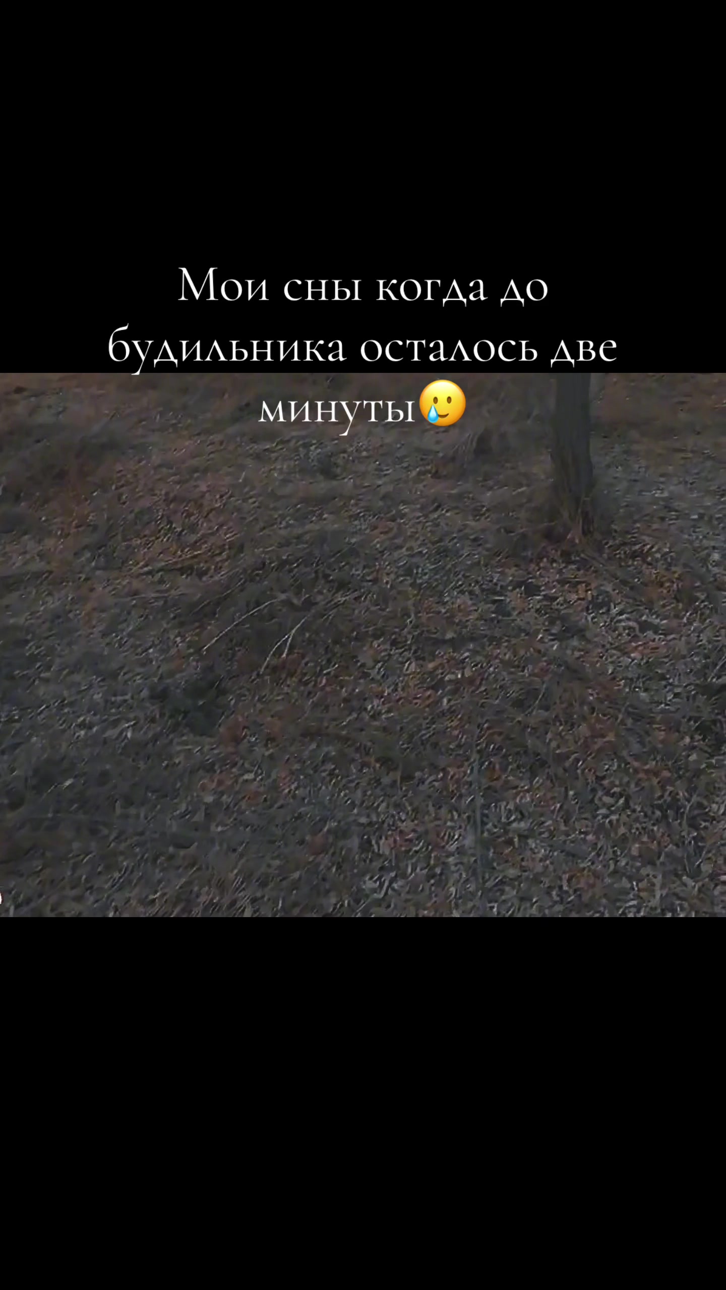 @user40131842938