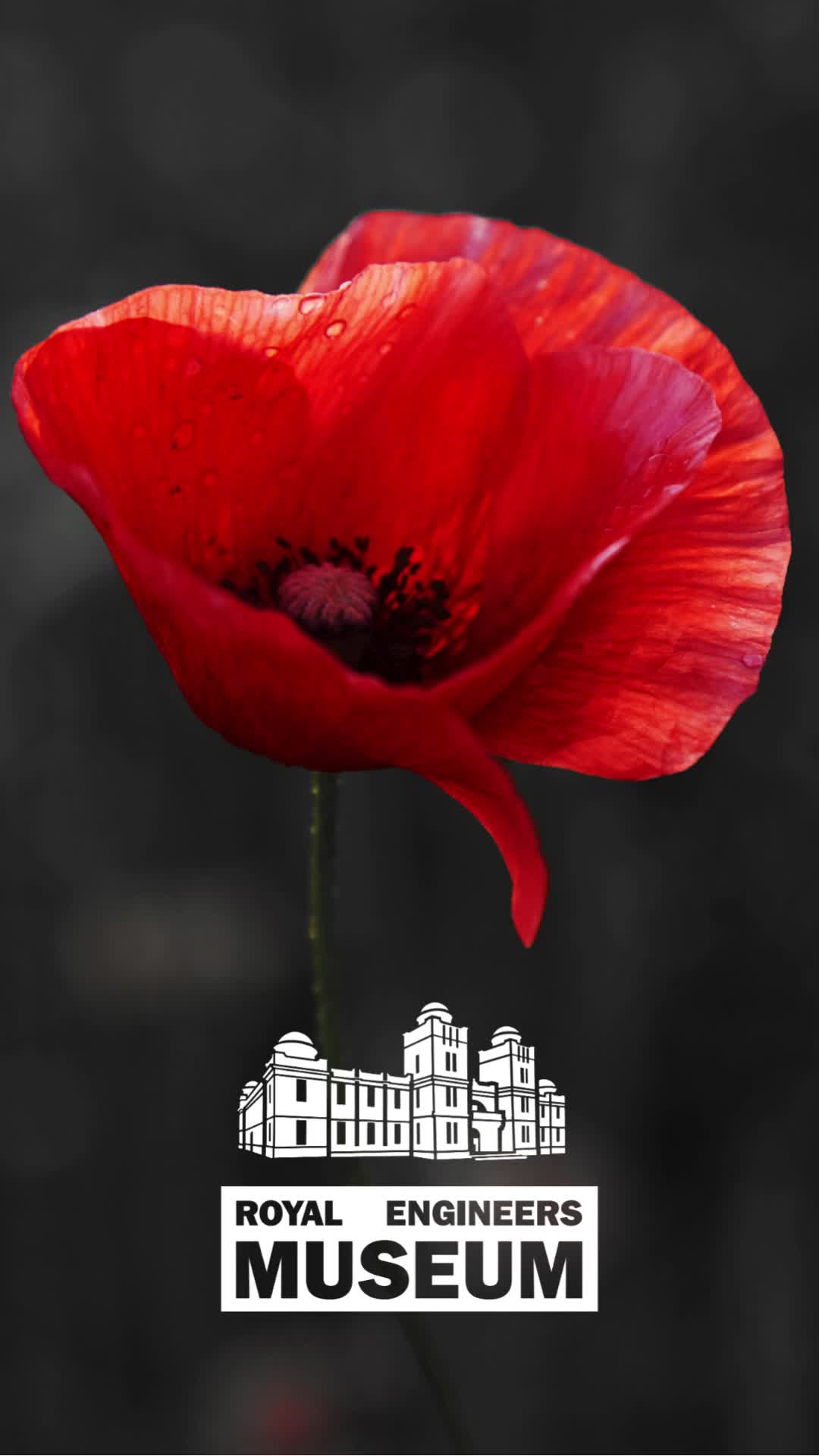 @REmuseum