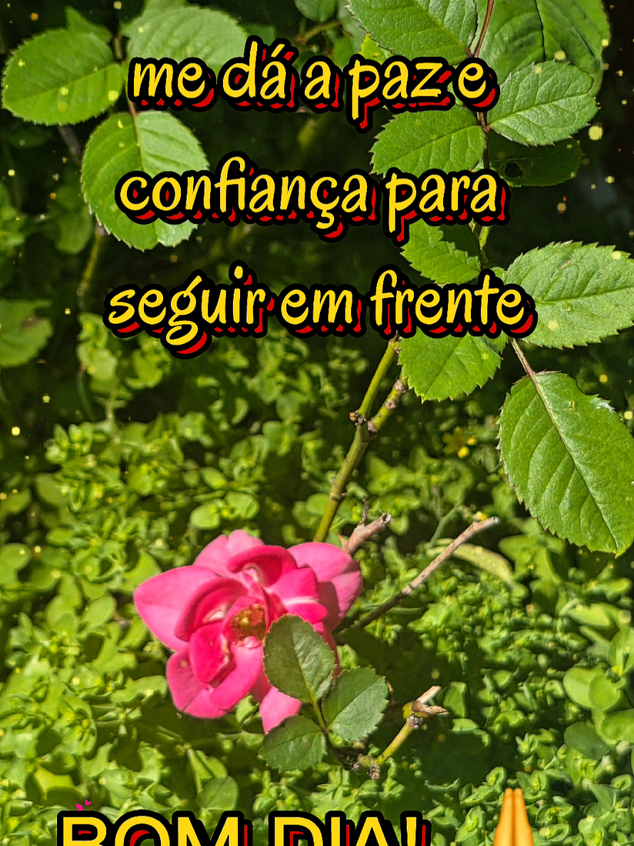 @PromessadeDeus91