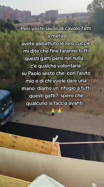 @Madonn c'è scett