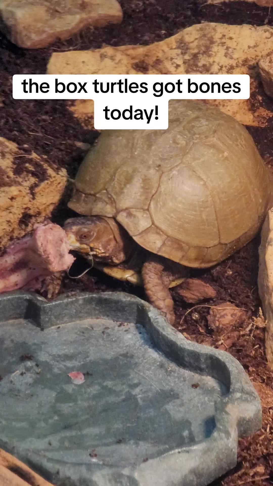 @Zookeeper Melanie