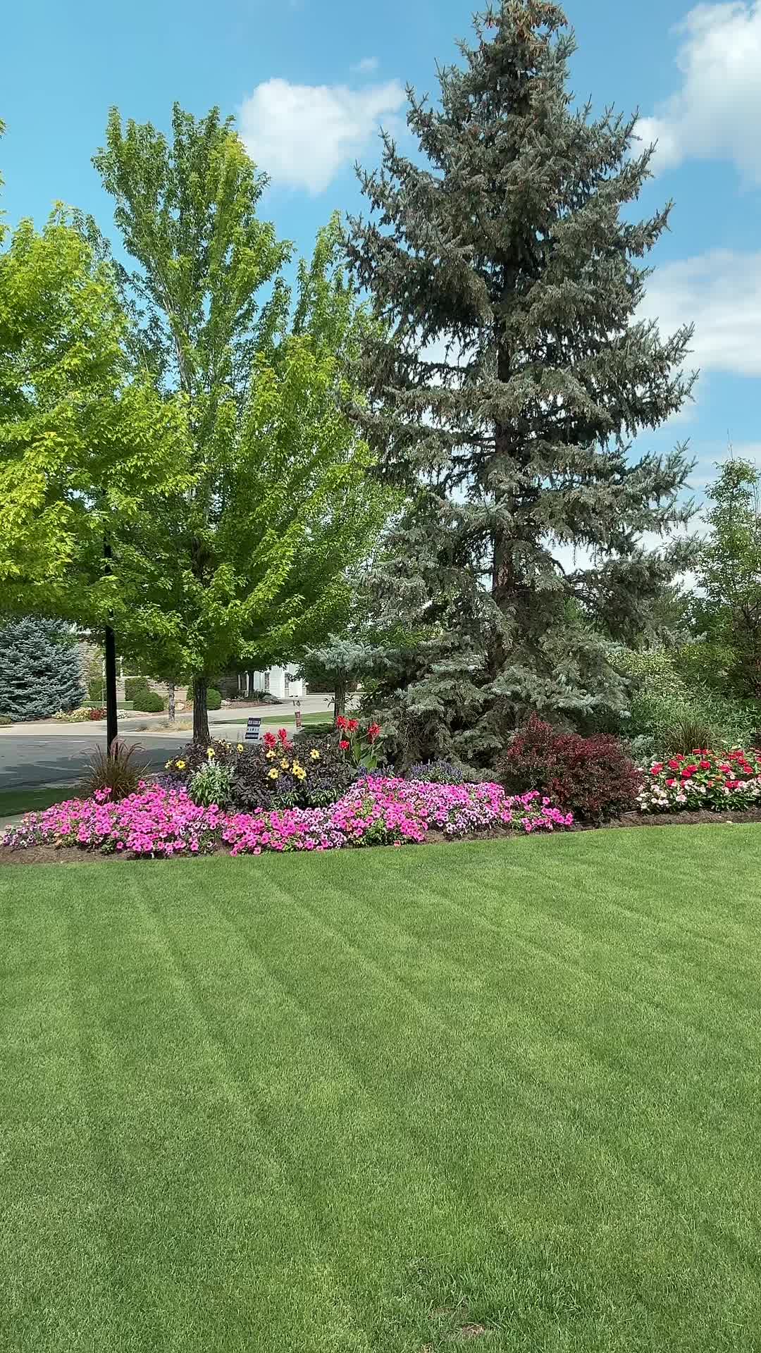 @diggin_the_yard