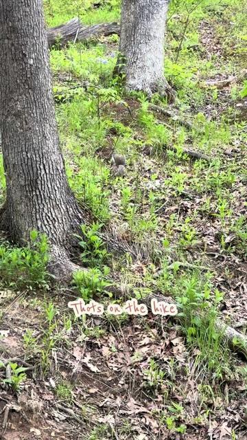 @Starved Rock State Park