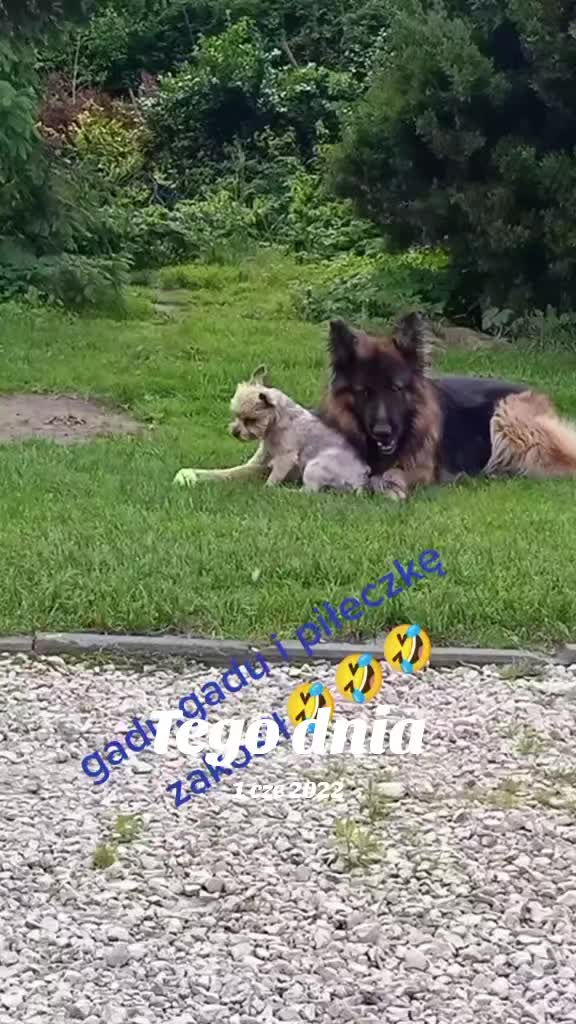 @Jadźka555🙈🙈🙈