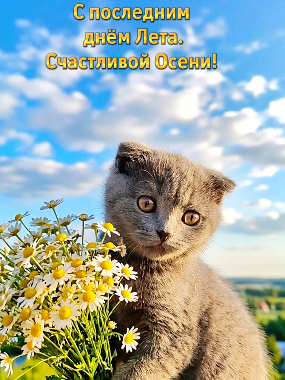 @😻Риччи&Джесси🐈Масик👼&Андрей
