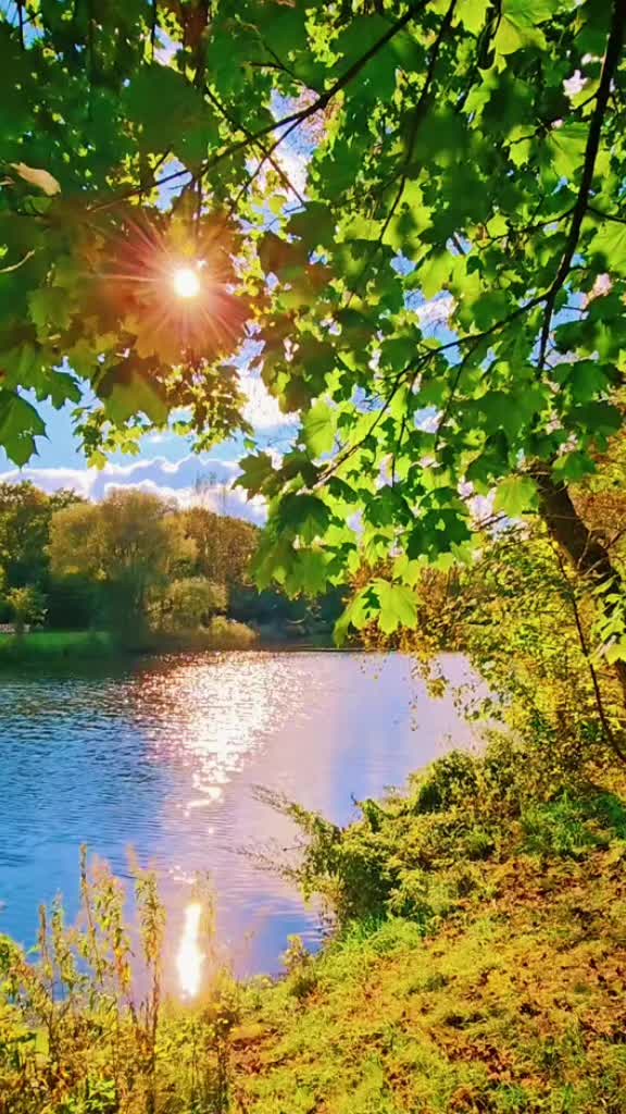 @Natur 💚