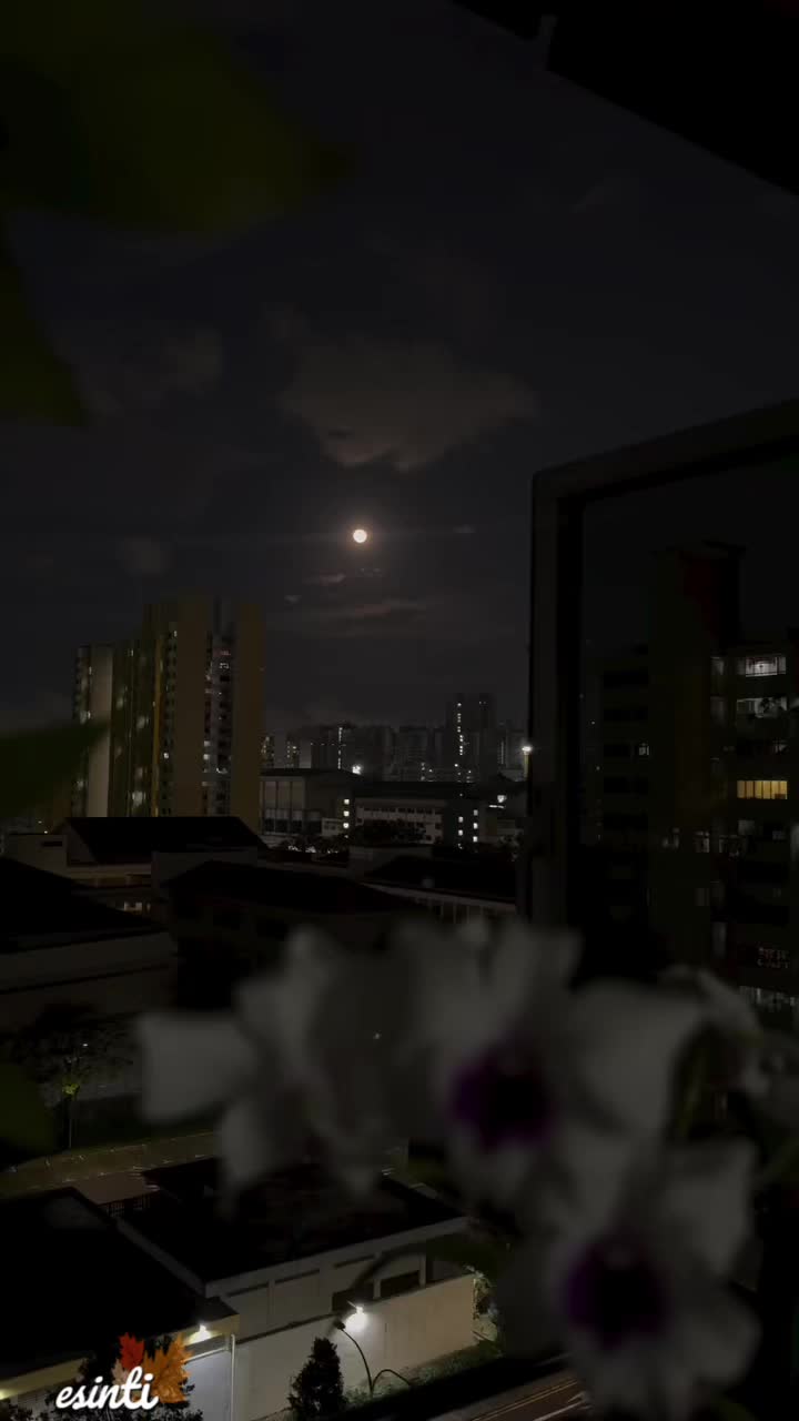 @༄༄𝓔𝓼𝓲𝓷𝓽𝓲༄༄