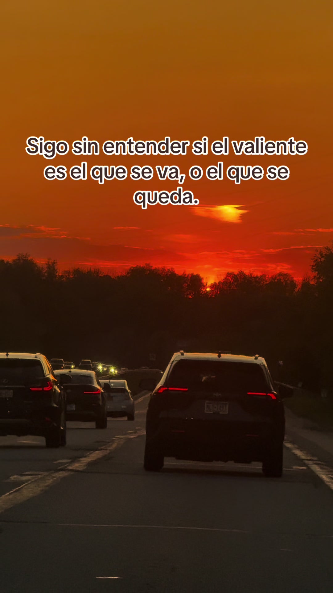 @️Sarahi❤️&zwj;🩹🍀