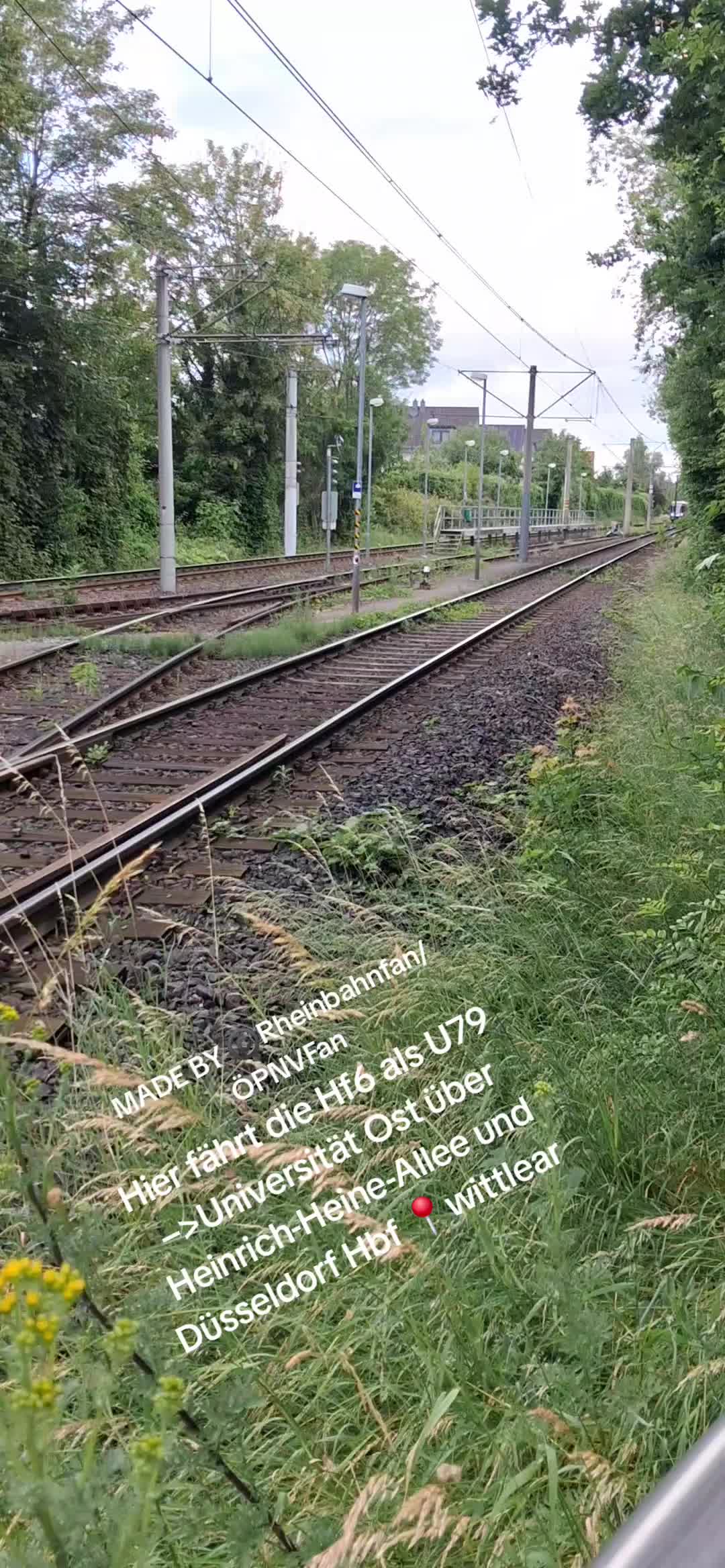 @Rheinbahn Fan/&Ouml;PNV Fan