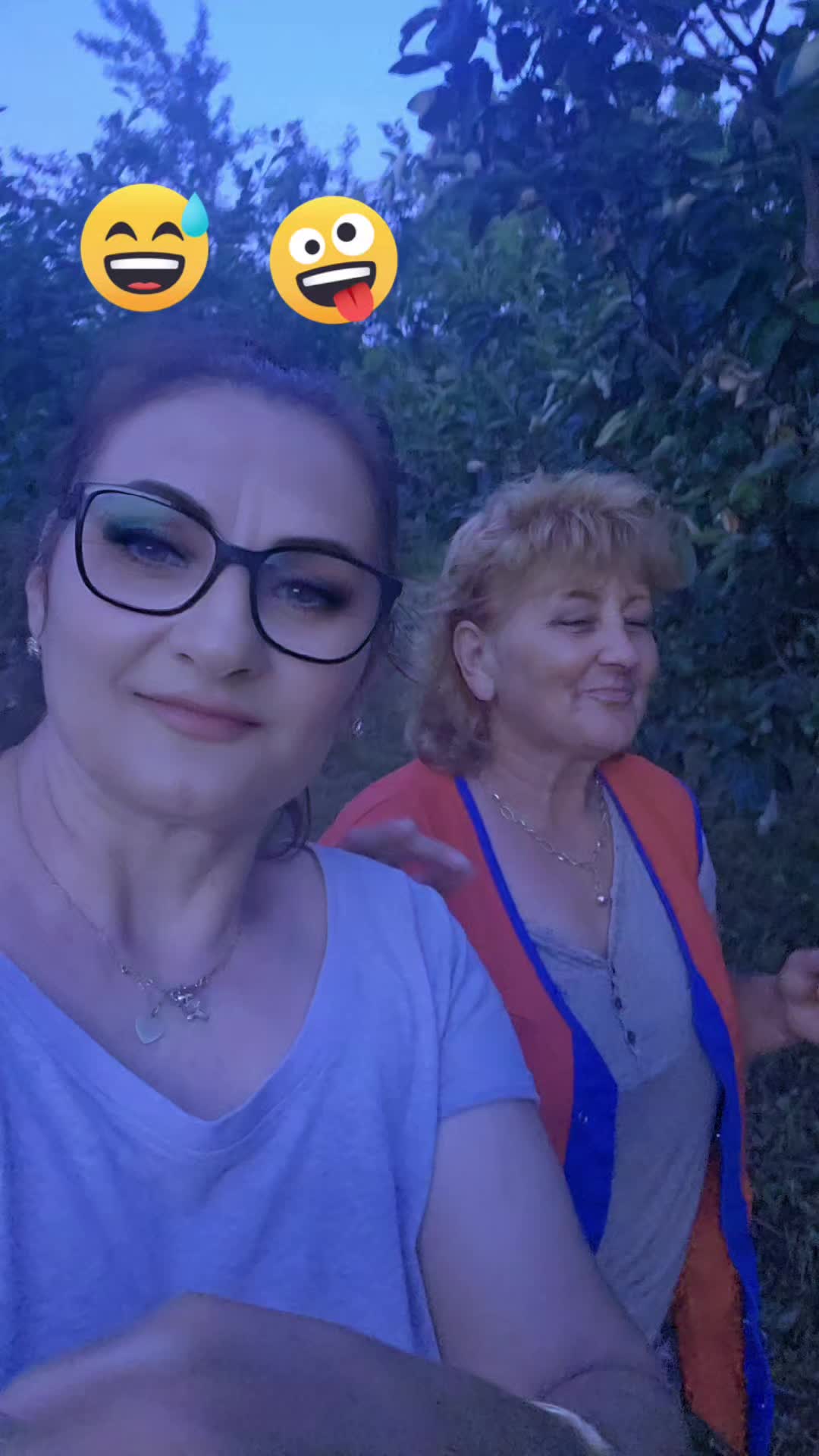 @Dana Daniela342