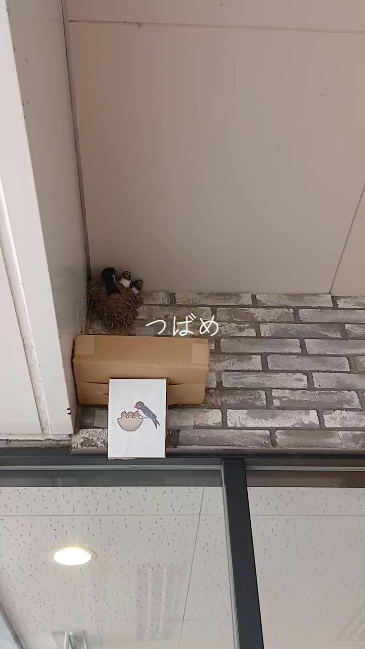 @⚜️🕌⚛️クロッケン⚛️🕌⚜️