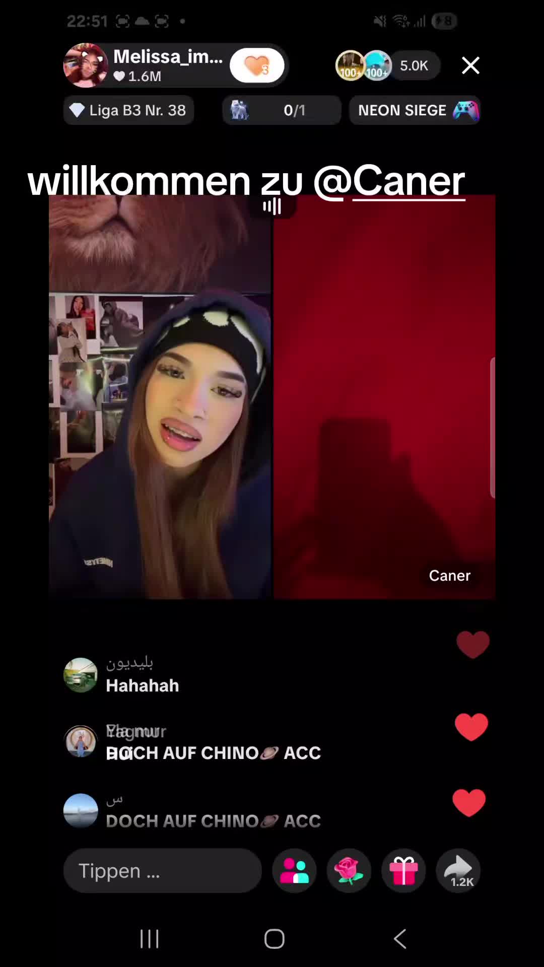 @Alina🐅