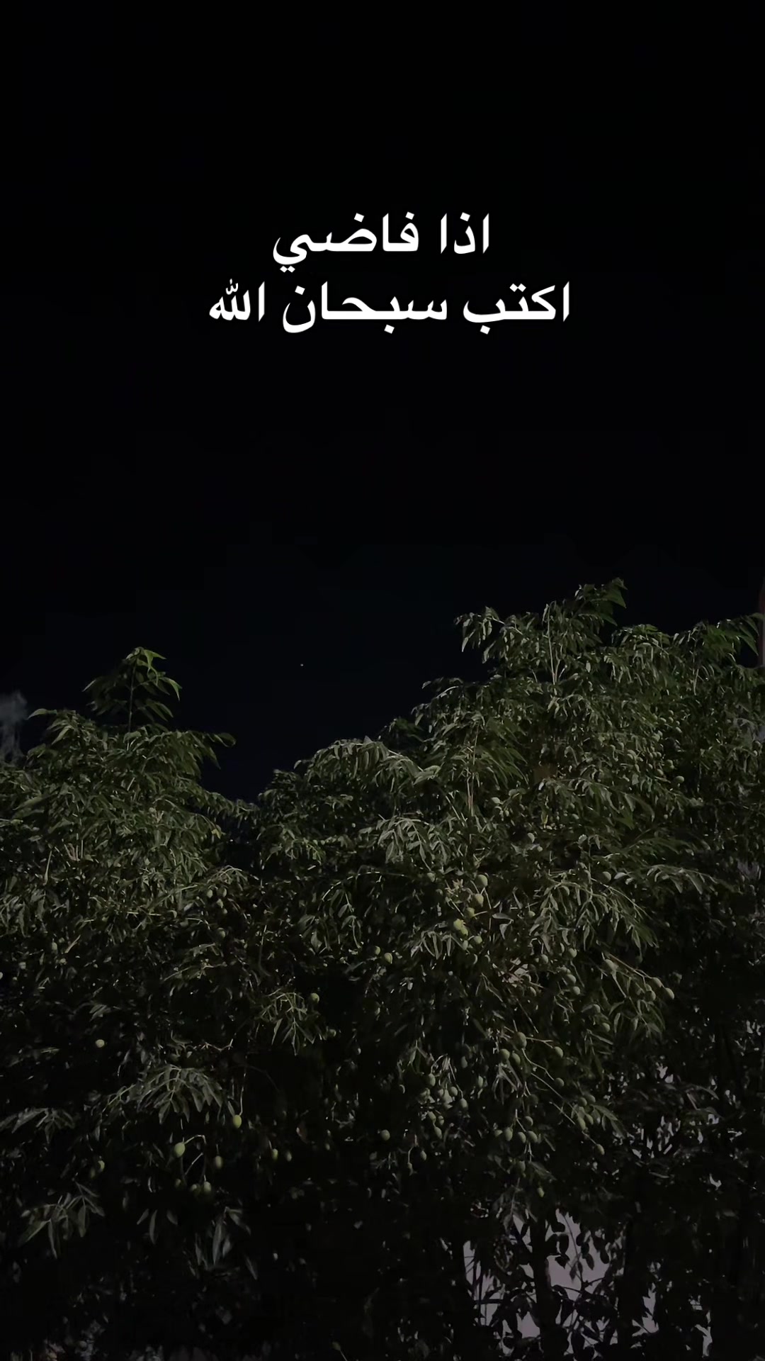@هيـــّــآف 𓃚