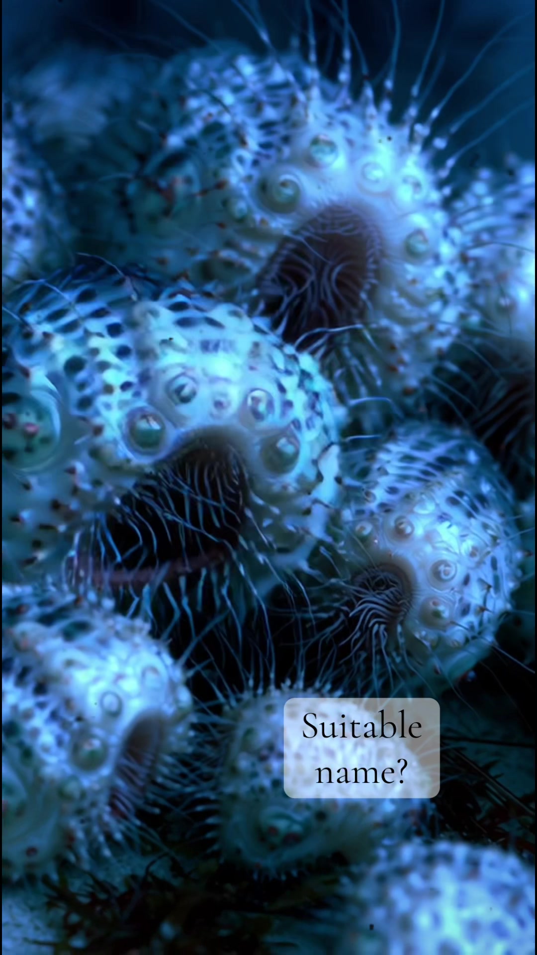 @ExoplanetWildlife