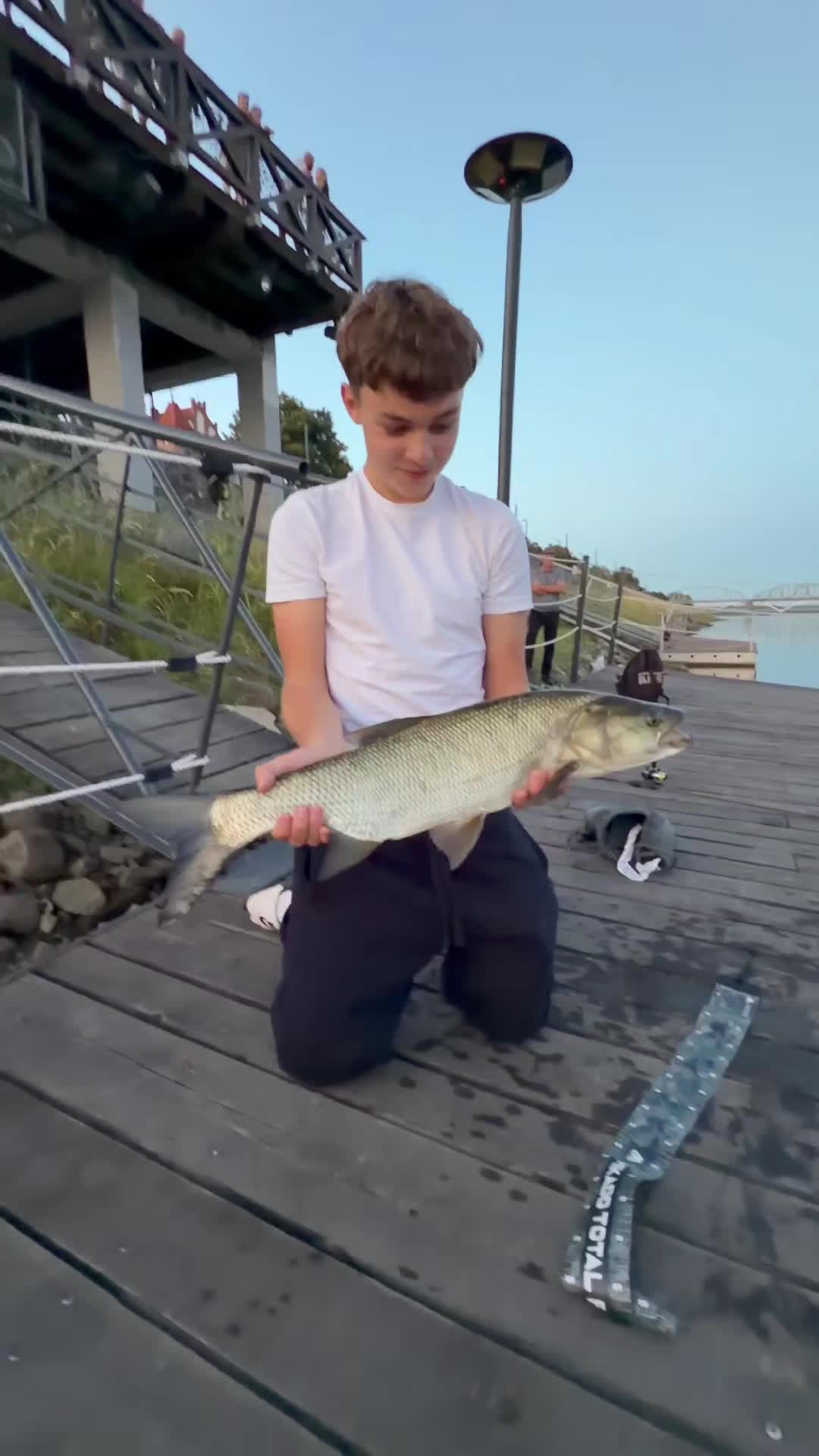 @mfly_lures