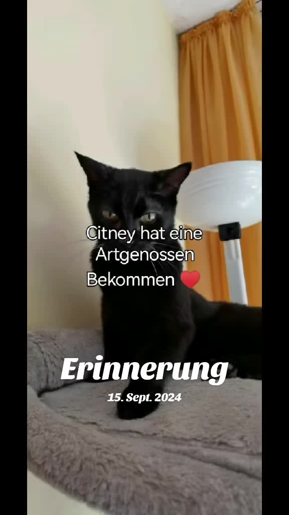 @juli🇩🇪🇺🇸🇷🇺