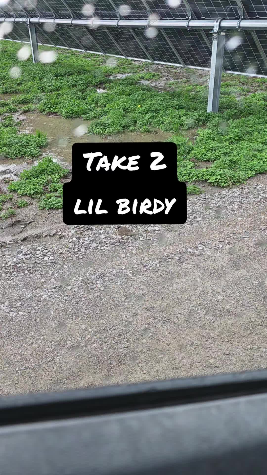 @livelovelifeskills