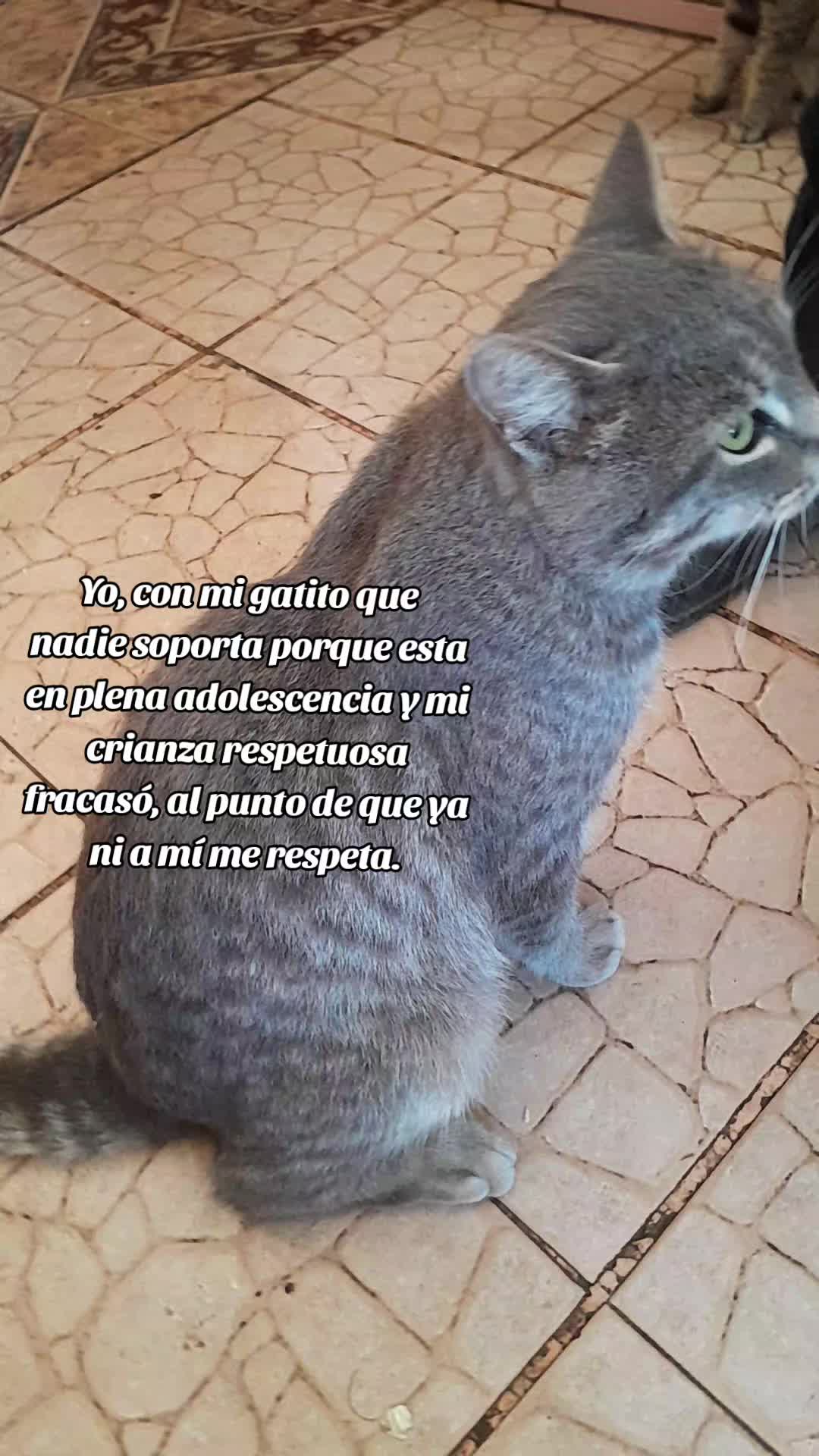 @&bull;Estefania&bull;
