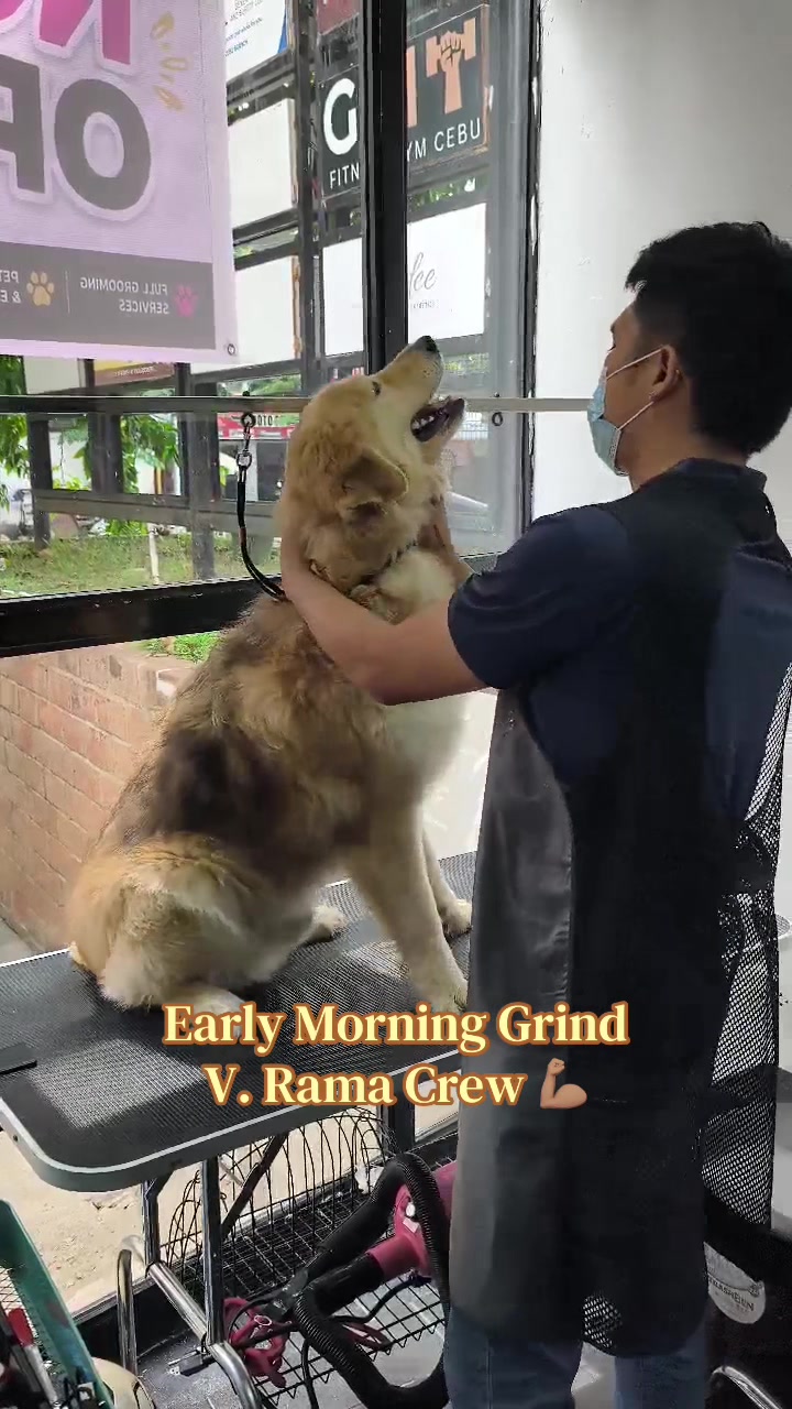 @petlanecebu