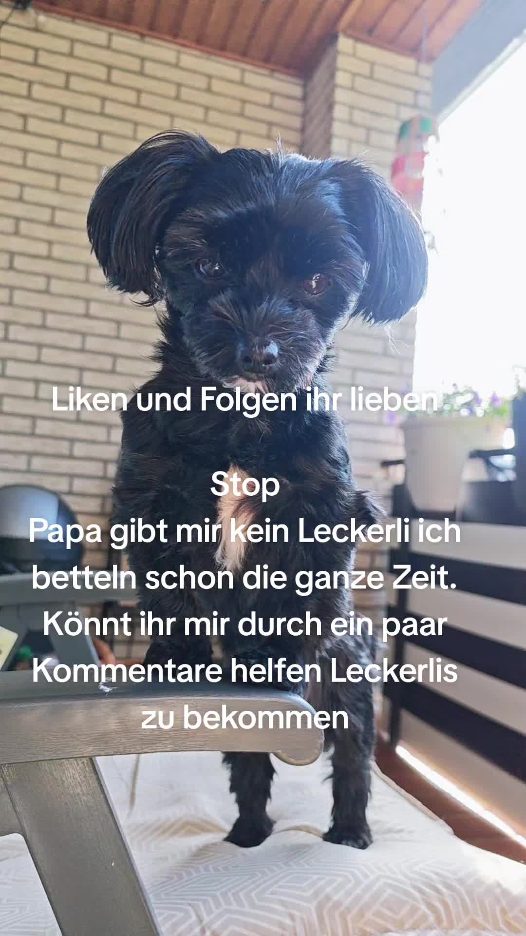 @P&ouml;ppi