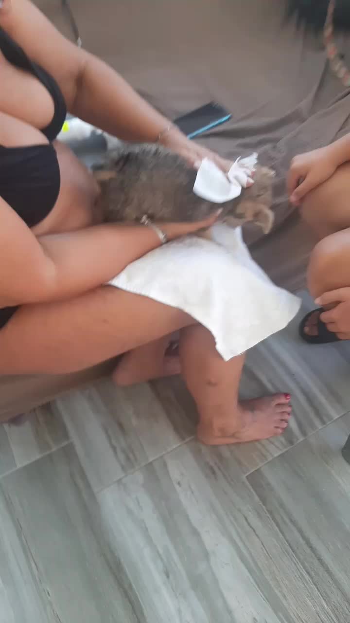 @Paola Guglielmino