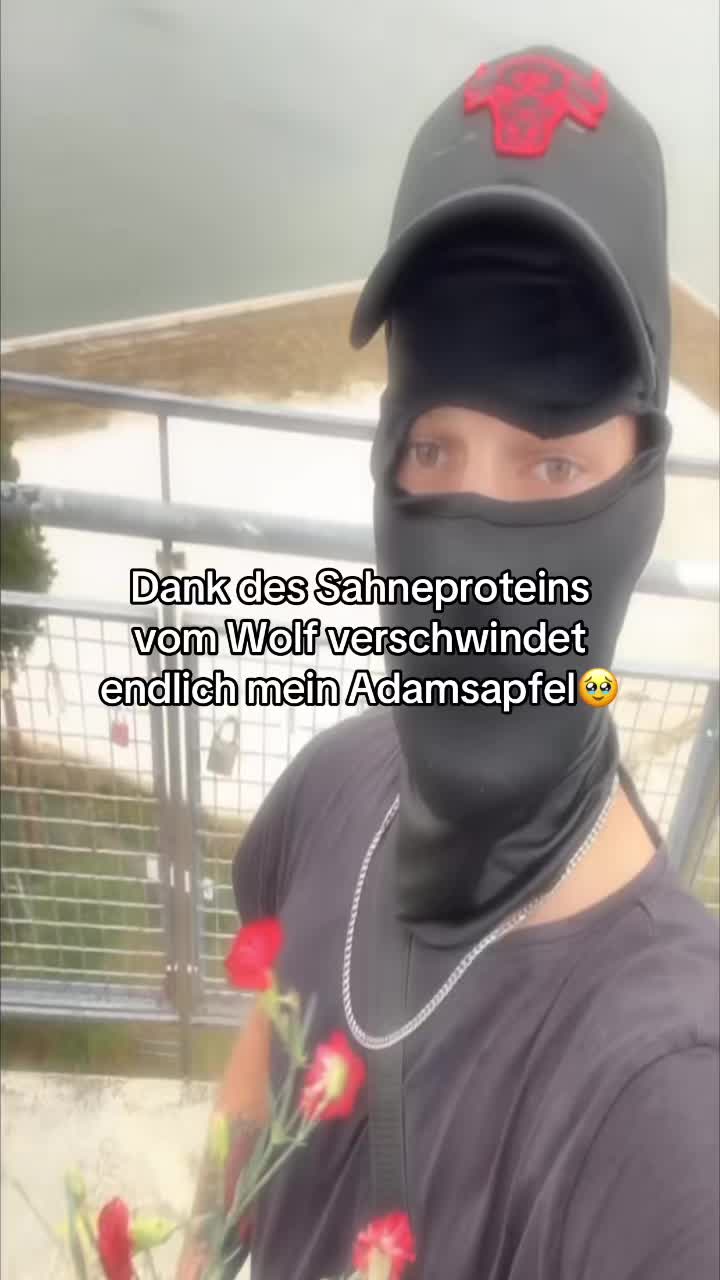 @memes_by_david